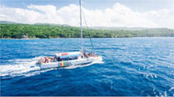 Island Single Non-Motorized: Sail 'N' Snorkel Catamaran Cruise (Child)