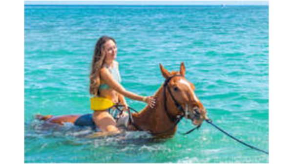 Island Single Non-Motorized: Horseback Ride 'N' Swim (Child)
