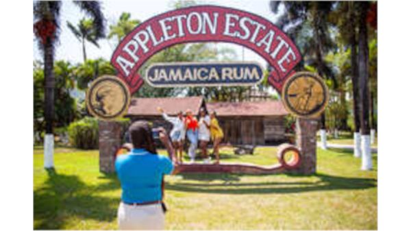 Appleton Double (Child)